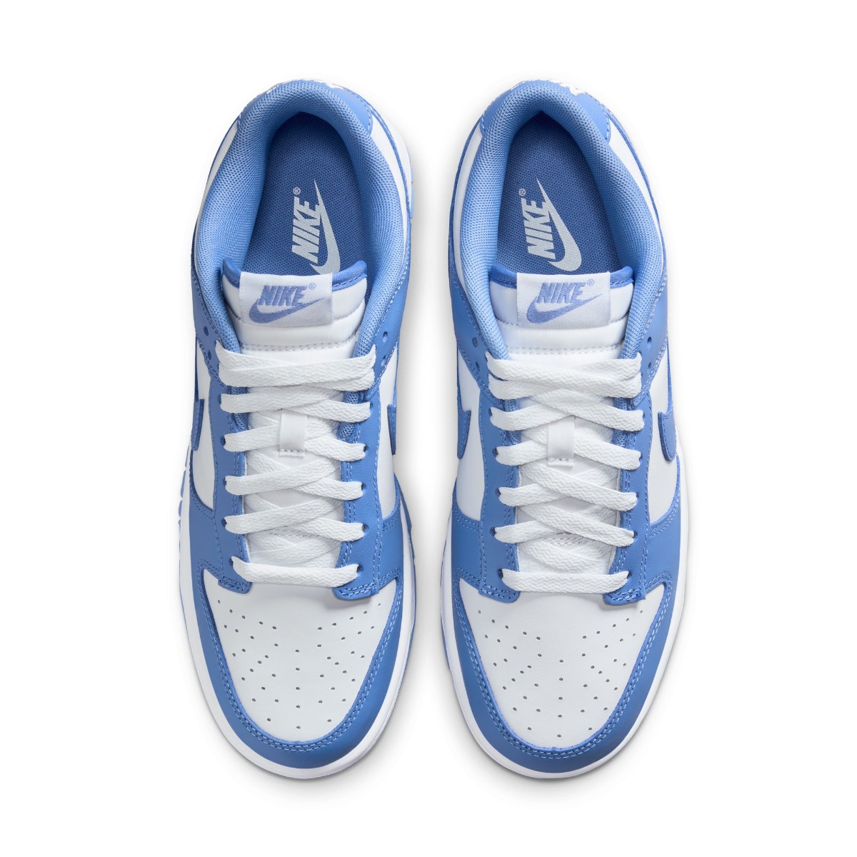 NIKE DUNK LOW RETRO BTTYS (DV0833-400)